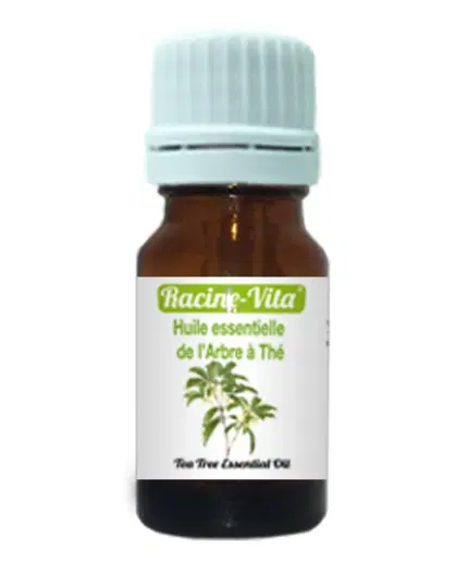 RACINE VITA HUILE ESSENTIELLE DE L'ARBRE A THE